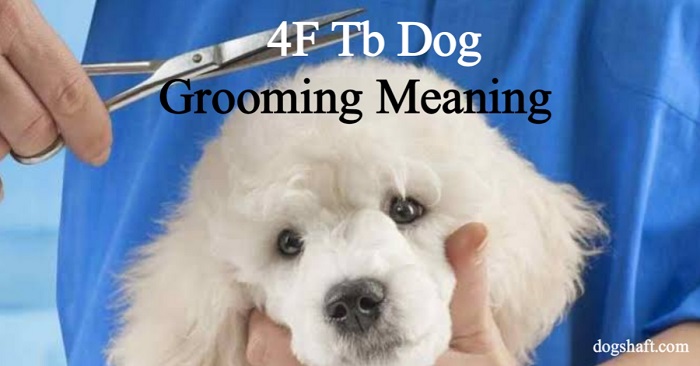4F Tb Dog Grooming Meaning