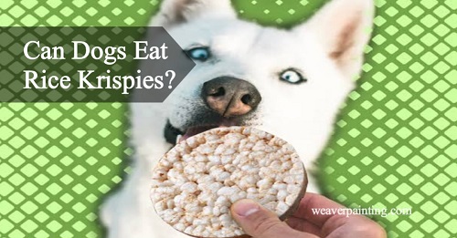 Can Dogs Eat Rice Krispies? Doggie Diet Dilemma