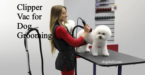 Clipper Vac for Dog Grooming