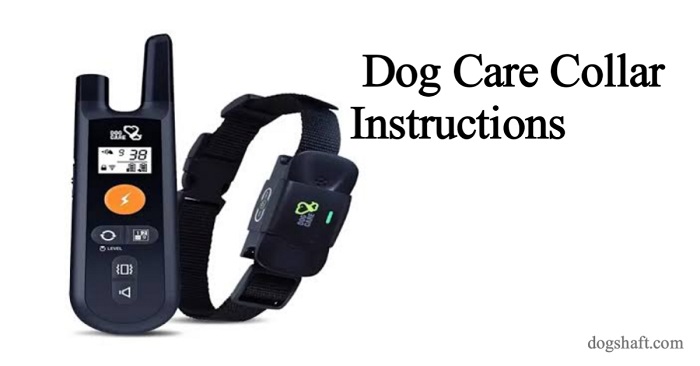 Unveiling the Ultimate Dog Care Collar Instructions: A Must-Read!