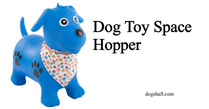 Dog Toy Space Hopper