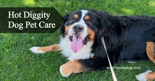 Hot Diggity Dog Pet Care: The Ultimate Guide to Happy And Healthy Pups!
