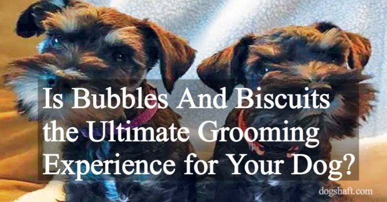 Is Bubbles And Biscuits the Ultimate Grooming Experience for Your Dog?