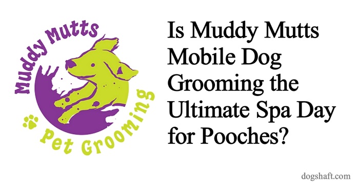 Is Muddy Mutts Mobile Dog Grooming the Ultimate Spa Day for Pooches