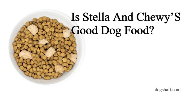 Is Stella And Chewy’S Good Dog Food? The Ultimate Dog Food Or Just Hype?