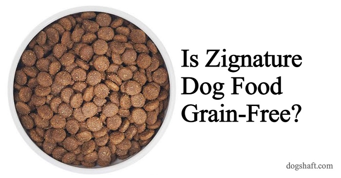 Is Zignature Dog Food Grain-Free
