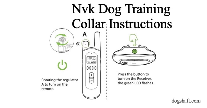 Nvk Dog Training Collar Instructions: The Ultimate Handbook for a Well-Behaved Pooch!