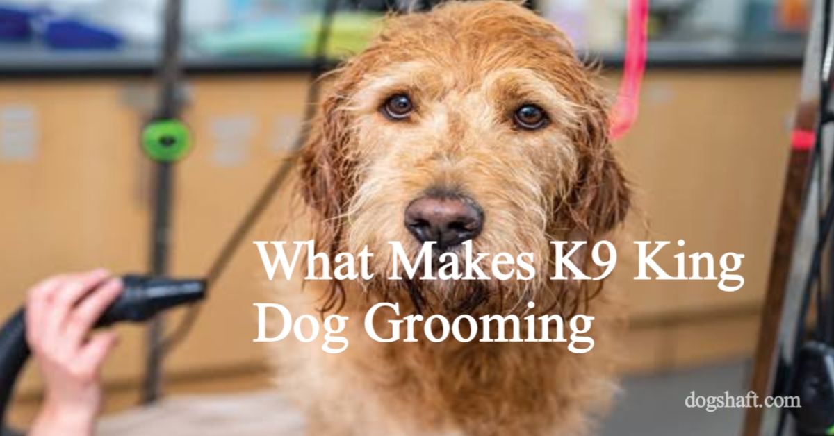 What Makes K9 King Dog Grooming