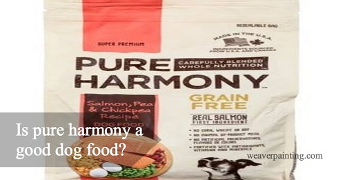 Is Pure Harmony a Good Dog Food? Expert Analysis