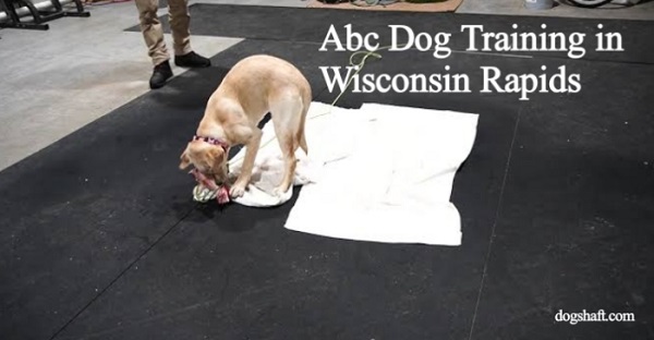 Everything You Need to Know About Abc Dog Training in Wisconsin Rapids!