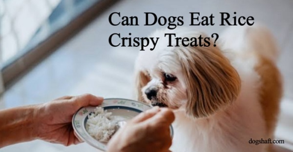 Can Dogs Eat Rice Crispy Treats? Attention Dog Owners