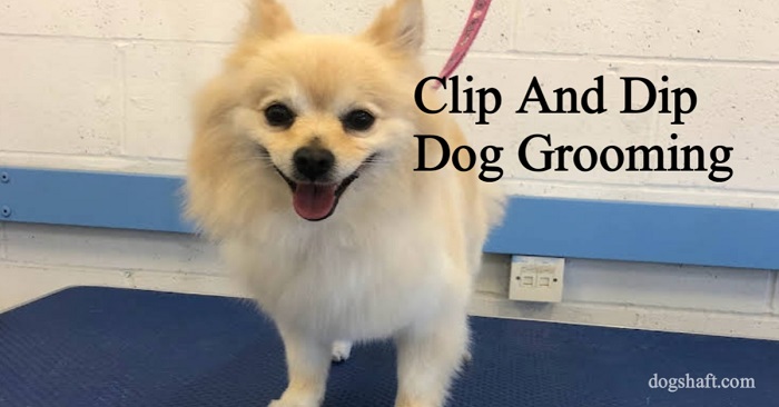 Clip And Dip Dog Grooming