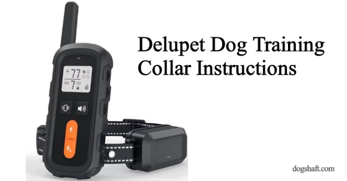 Step-By-Step Delupet Dog Training Collar Instructions for a Well-Behaved Pooch!
