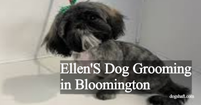 Unveiling the Secrets of Ellen’S Dog Grooming in Bloomington, IL!