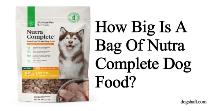 How Big Is A Bag Of Nutra Complete Dog Food? Nutra Complete Size Exposed!