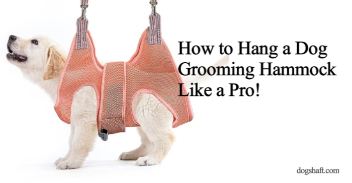 How to Hang a Dog Grooming Hammock Like a Pro!