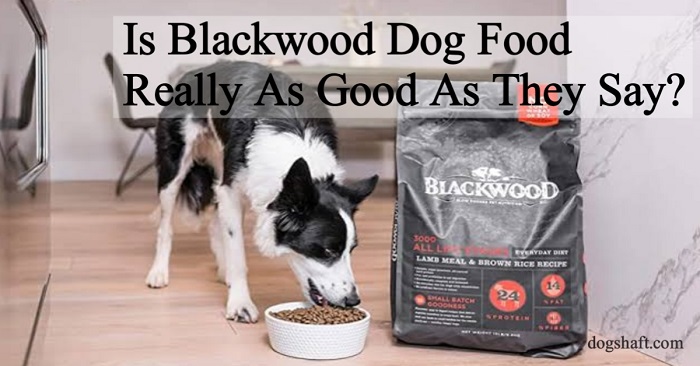 Is Blackwood Dog Food Really As Good As They Say