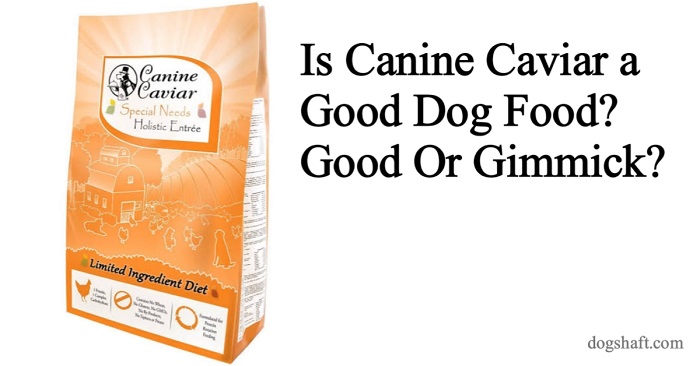 Is Canine Caviar a Good Dog Food? Good Or Gimmick