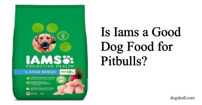 Is Iams a Good Dog Food for Pitbulls? What You Need to Know Before You Feed!