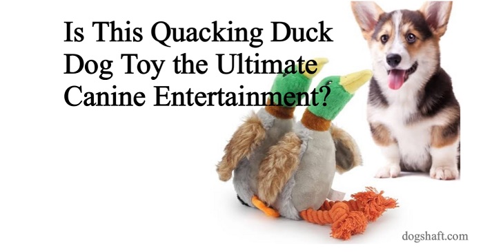 Is This Quacking Duck Dog Toy the Ultimate Canine Entertainment? Find Out Now!