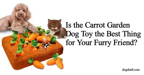 Is the Carrot Garden Dog Toy the Best Thing for Your Furry Friend