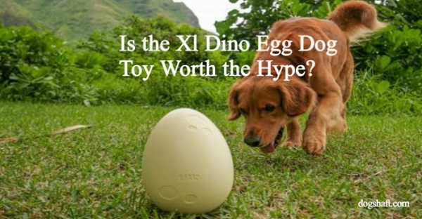 Is the Xl Dino Egg Dog Toy Worth the Hype