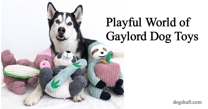 Playful World of Gaylord Dog Toys