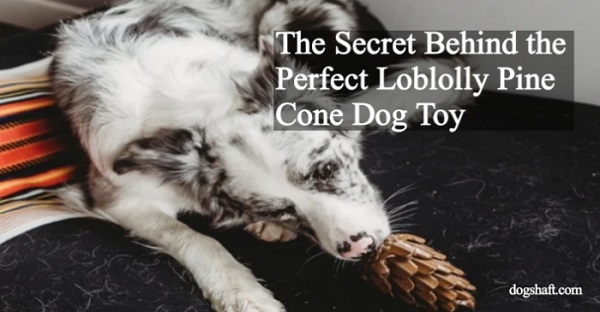 The Secret Behind the Perfect Loblolly Pine Cone Dog Toy