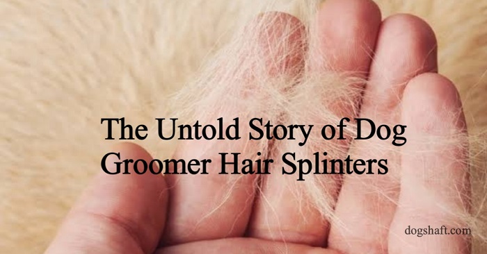The Untold Story of Dog Groomer Hair Splinters