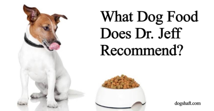 What Dog Food Does Dr. Jeff Recommend?
