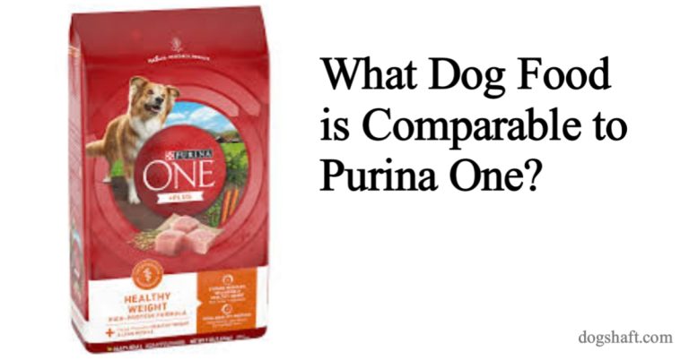 What Dog Food is Comparable to Purina One? Your Ultimate Guide