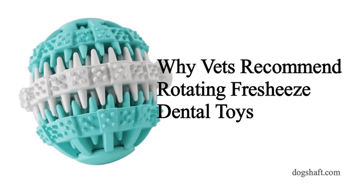 Why Vets Recommend Rotating Fresheeze Dental Toys for a Happy Doggo!
