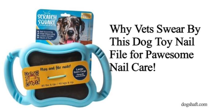 Why Vets Swear By This Dog Toy Nail File for Pawesome Nail Care!