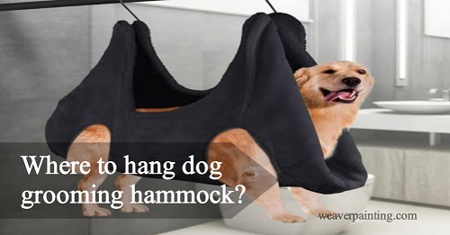 where to hang dog grooming hammock