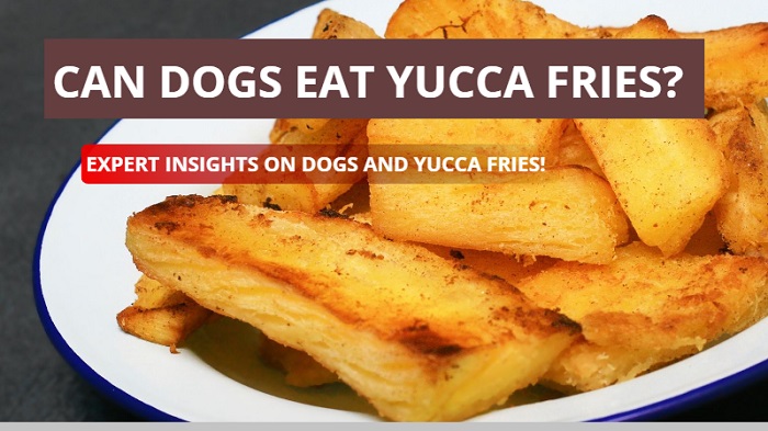 Can Dogs Eat Yucca Fries? Expert Insights on Dogs And Yucca Fries!