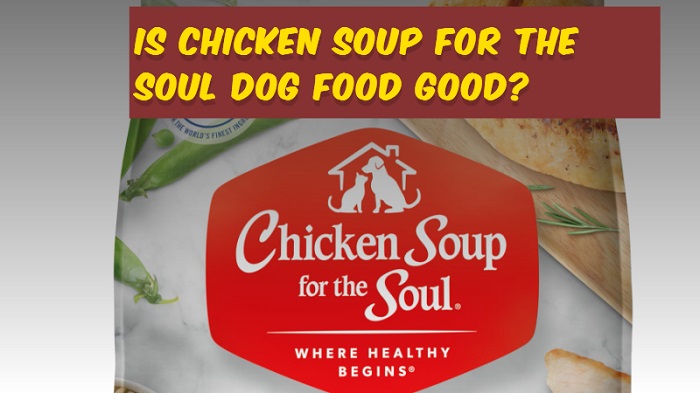 Is Chicken Soup for the Soul Dog Food Good? The Good, the Bad, And the Truth