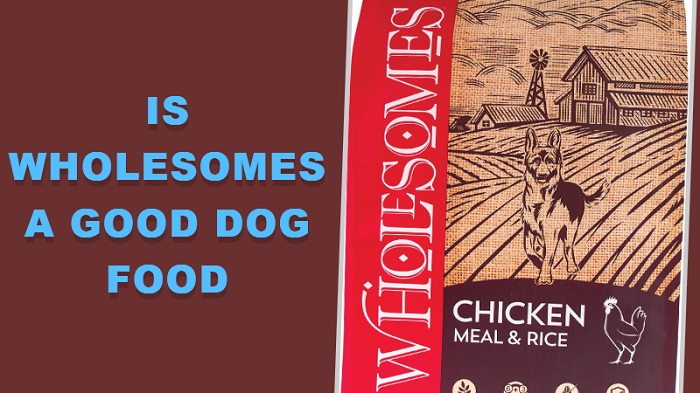 Is Wholesomes A Good Dog Food? Unveiling the Truth!